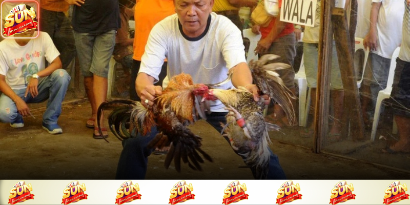 Góc quay sắc nét giúp người xem quan sát rõ từng pha giao chiến 